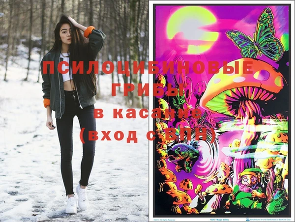 хмурый Богородицк