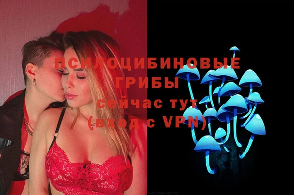 хмурый Богородицк