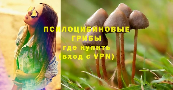 тгк Беломорск