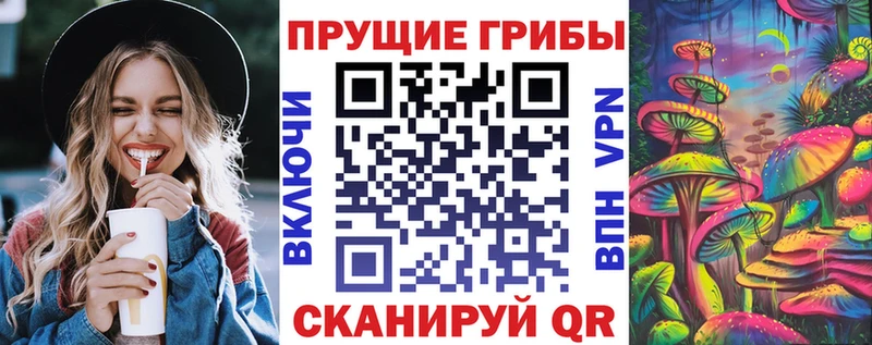 blacksprut рабочий сайт  Сковородино  Псилоцибиновые грибы ЛСД 
